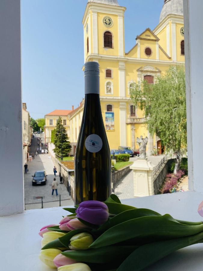 Uránia Apartmanház Eger Esterno foto